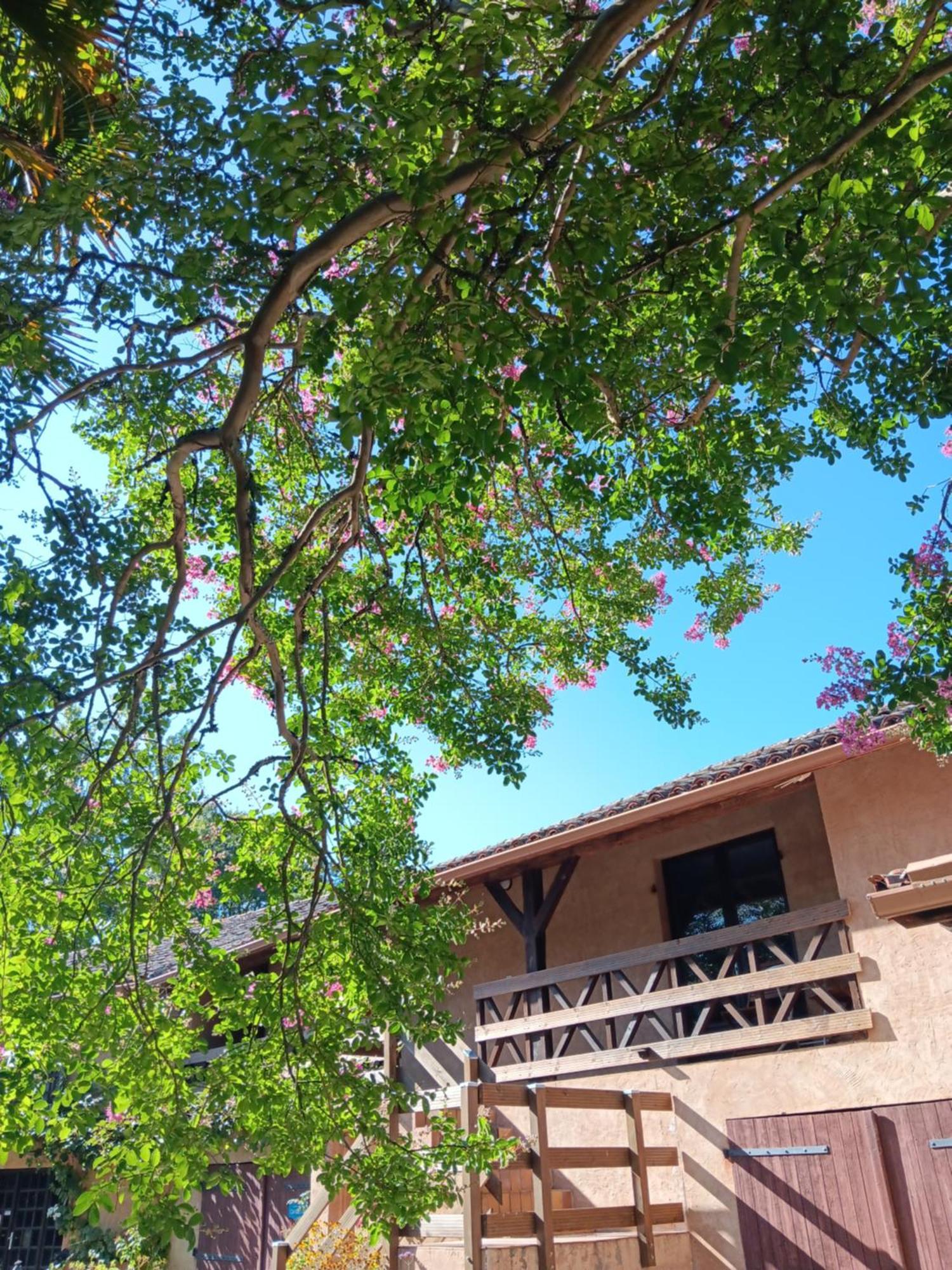 Bed and Breakfast Le Moulin Du Comte à Bourrouillan Extérieur photo