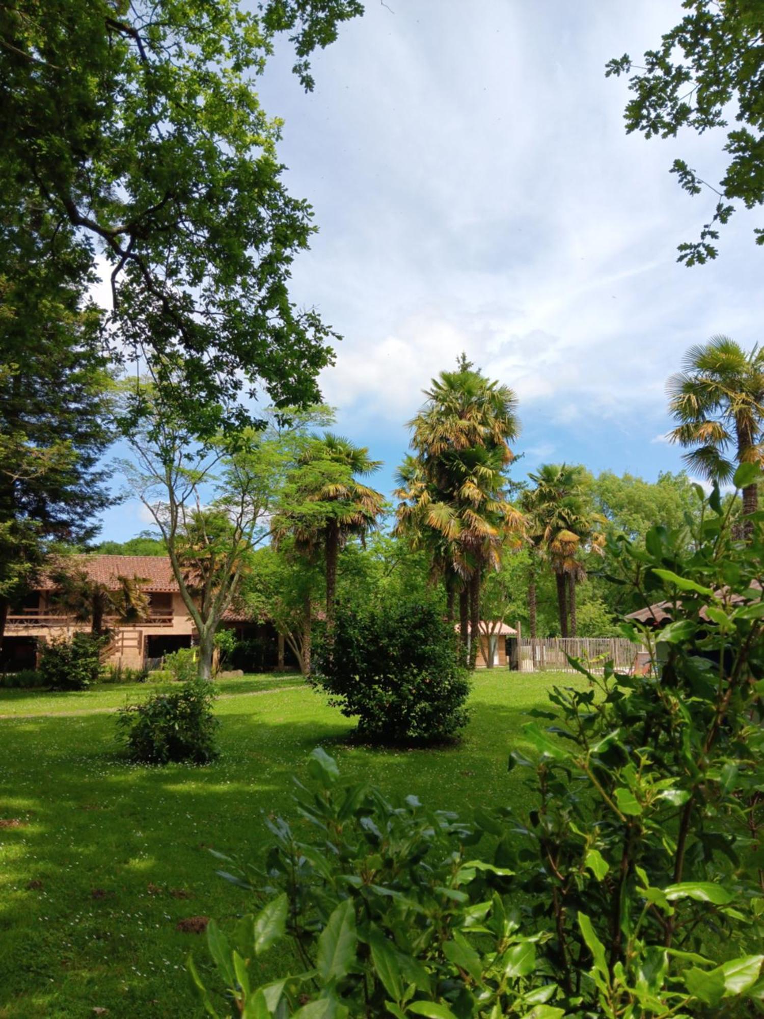 Bed and Breakfast Le Moulin Du Comte à Bourrouillan Extérieur photo
